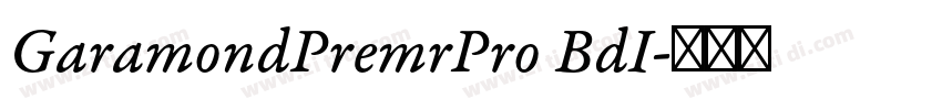 GaramondPremrPro BdI字体转换